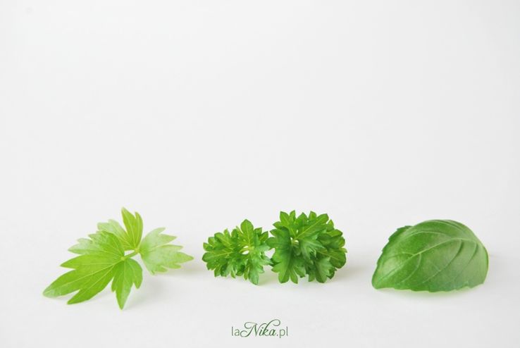 Zielone pesto z lubczyku, pietruszki i bazylii 1